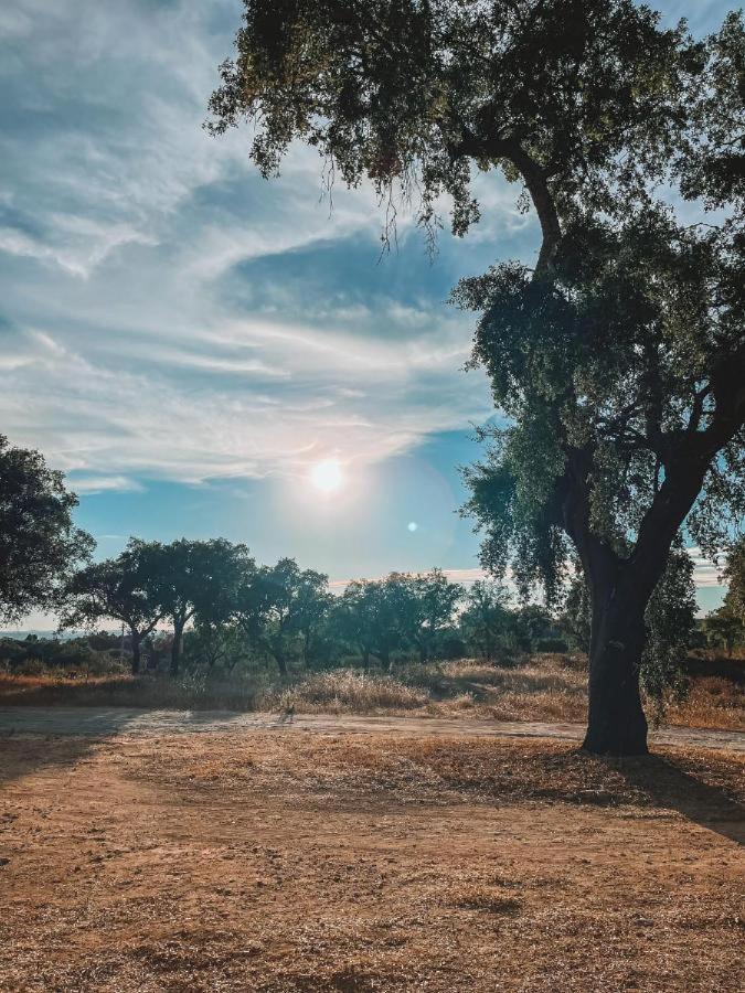 Landhaus Herdade Do Montinho